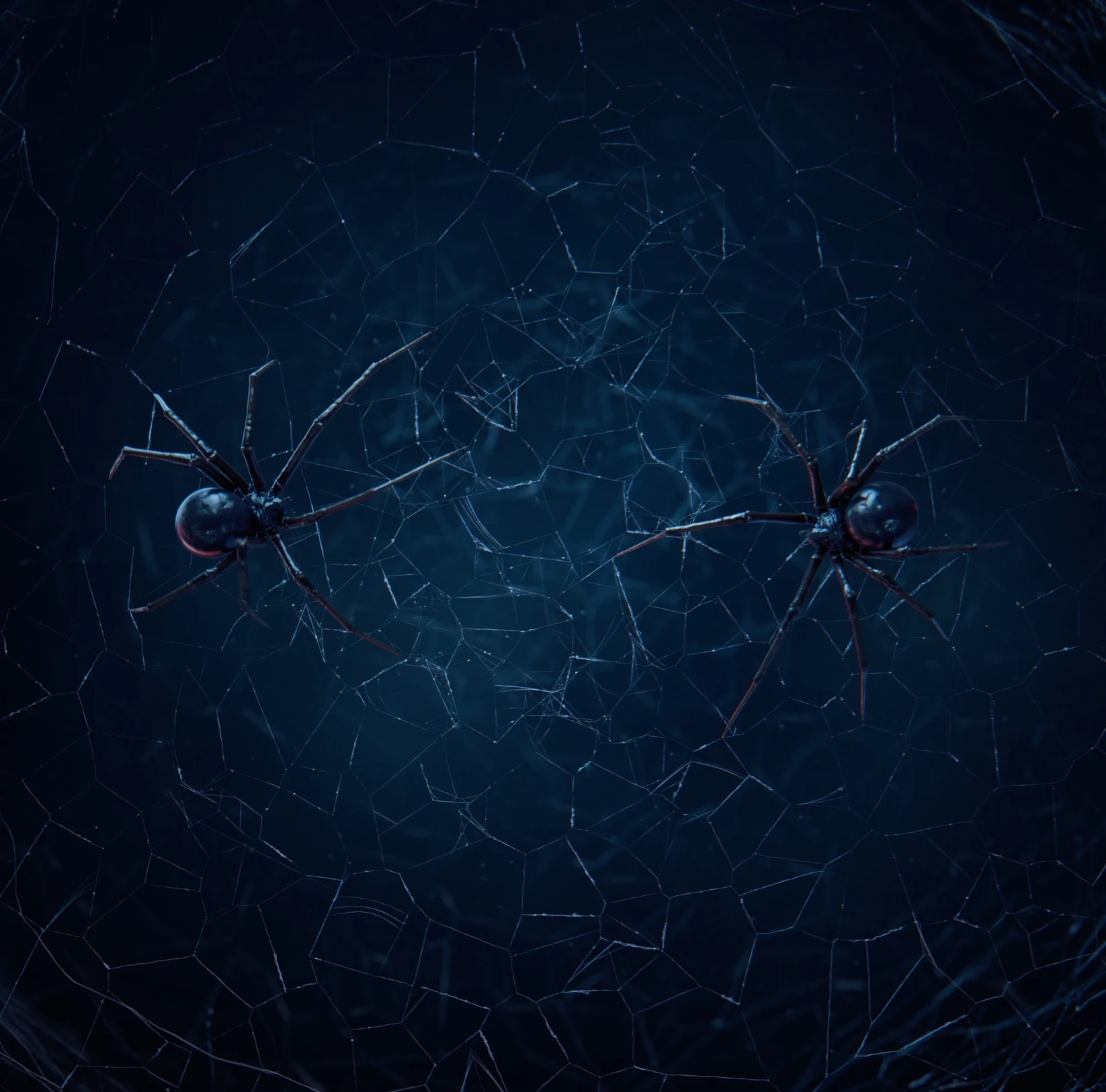 American Horror Story — Season 12 — image 5